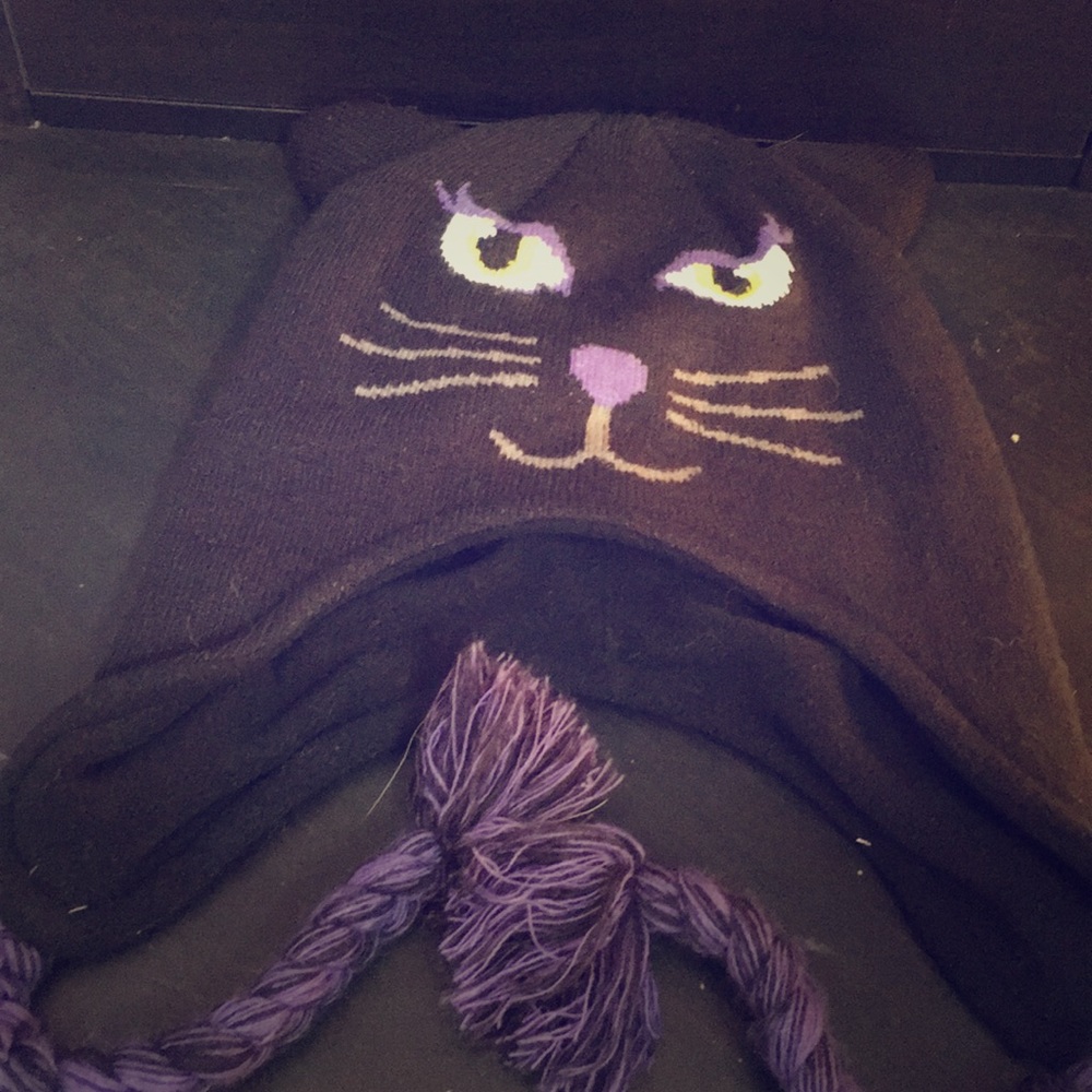 Black and purple cat hat. Perfect for winter. ☃️